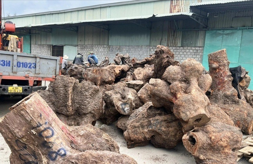 Tang vật vụ việc. Ảnh: Tuổi trẻ.