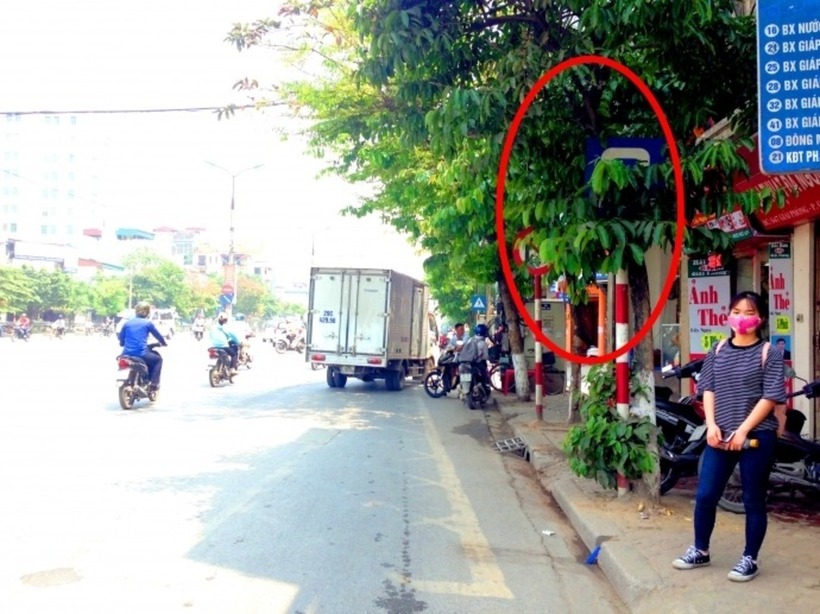 Biển báo bị che khuất có hiệu lực không? Ảnh minh hoạ
