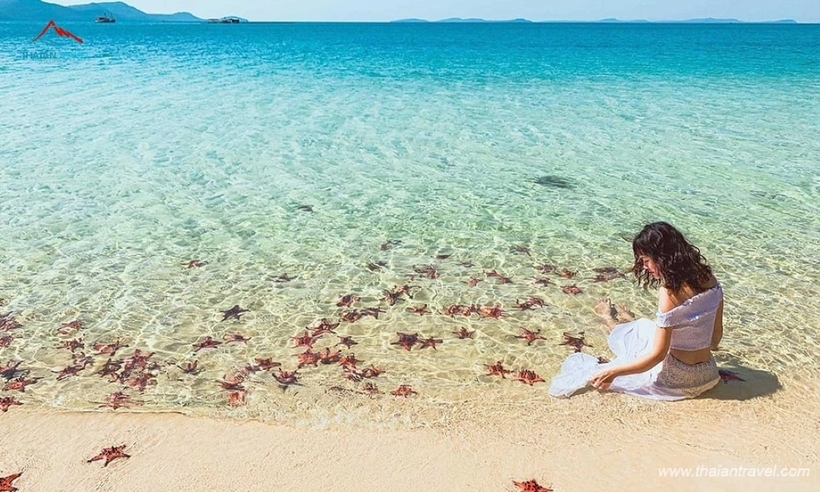 Một địa điểm nhất định bạn phải ghé khi du lịch Nha Trang.