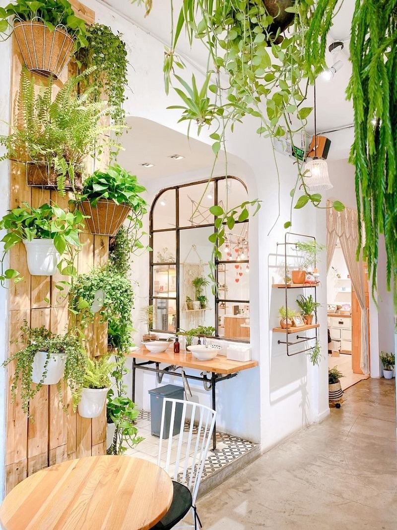 Quán cafe có không gian thư thái khác biệt giữa lòng thành phố. Ảnh: FB Saigon Ơi
