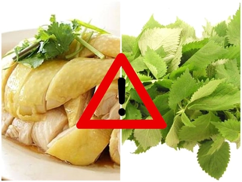 Lẩu gà kỵ rau kinh giới.
