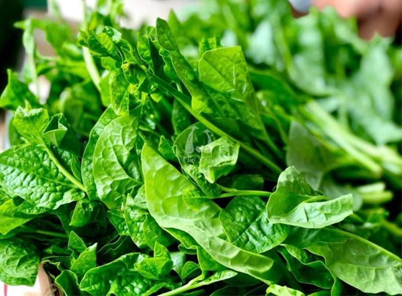 Lẩu riêu cua bắp bò không nên ăn cùng rau mồng tơi.