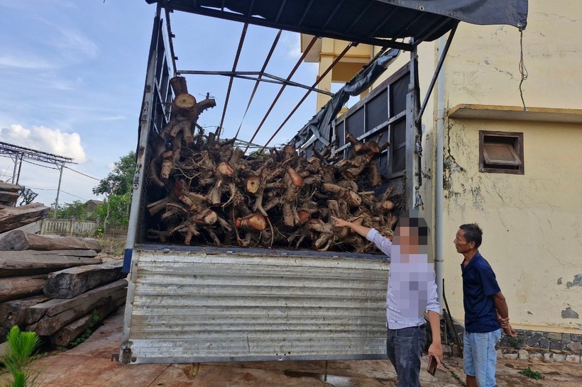 Xe tải cùng số cây hương di thực bị lực lượng chức năng tạm giữ. Ảnh: Dân Trí