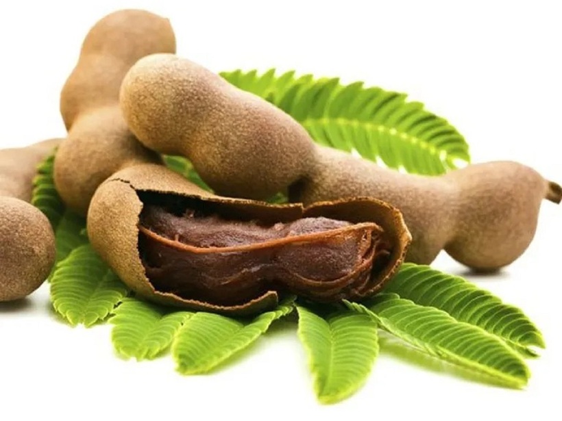 Quả me mang lại nhiều lợi ích cho sức khỏe