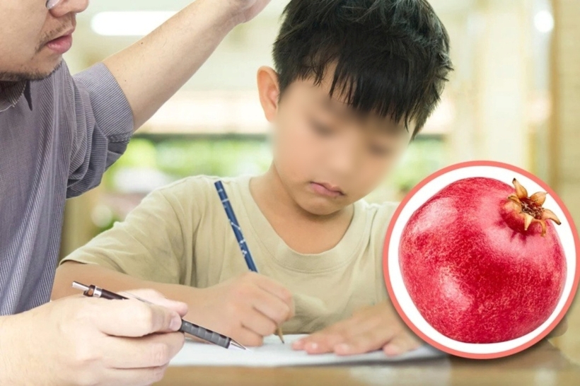 Trong lúc mất bình tĩnh, người bố đã cầm trái lựu trên bàn và ném về phía con trai. Ảnh minh họa: Shutterstock
