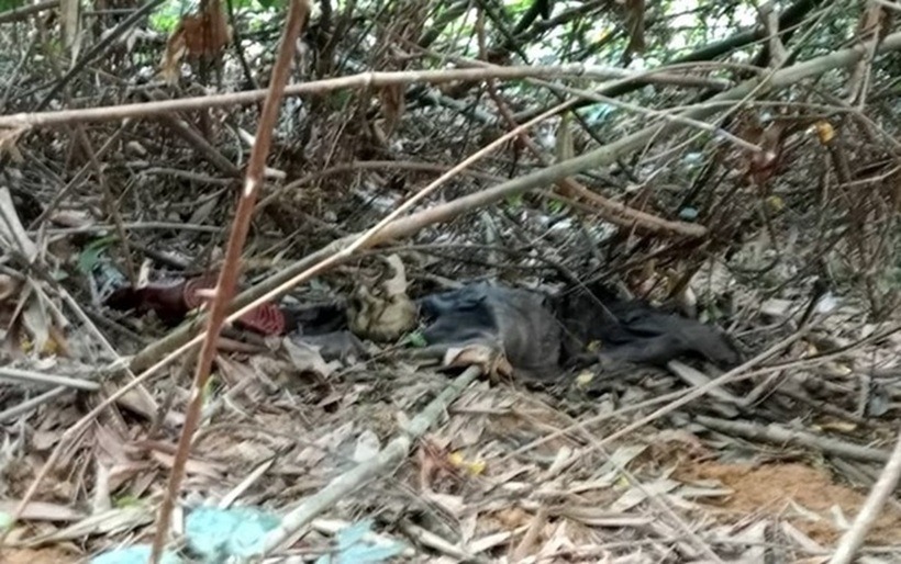 Khu vực phát hiện thi thể. Ảnh: Lao động