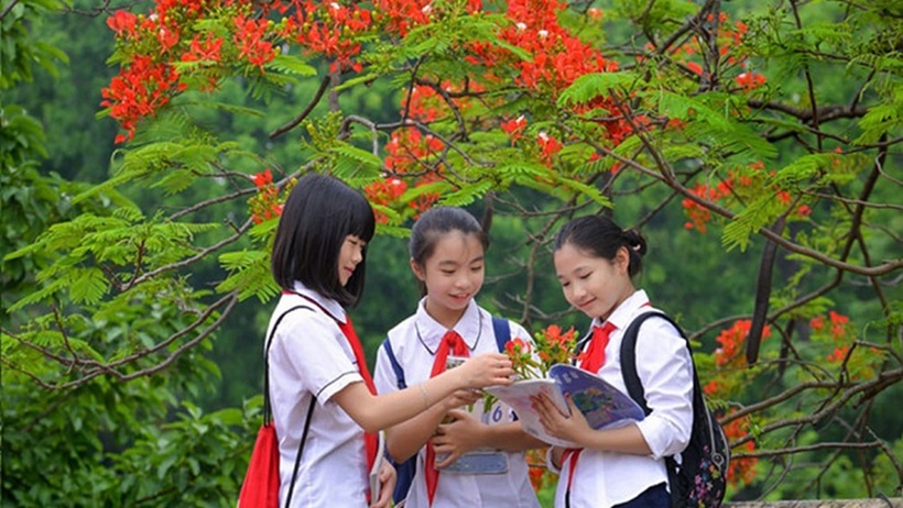 Hải Phòng cấm dạy học hè, dạy tiền tiểu học dưới mọi hình thức. Ảnh minh họa.