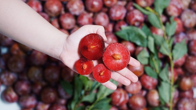 Trong mận nói chung chứa nhiều vitamin và khoáng chất, chúng cũng chứa nhiều chất xơ và chất chống oxy hóa giúp làm giảm nguy cơ mắc một số bệnh mãn tính. Ảnh minh họa