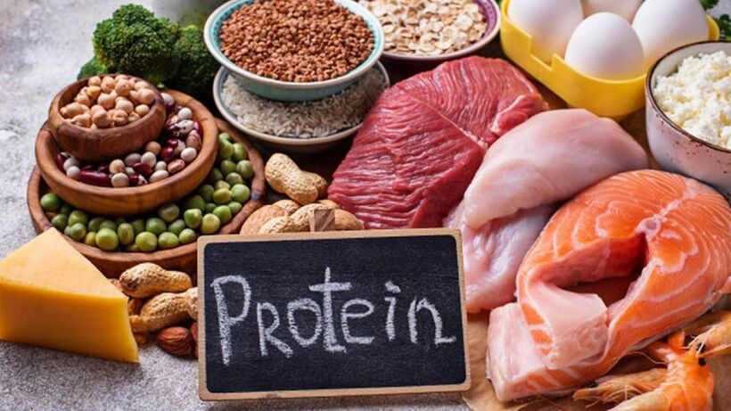 Protein rất quan trọng trong chế độ dinh dưỡng của con người nói chung và đặc biệt là các sĩ tử nói riêng. Ảnh minh họa