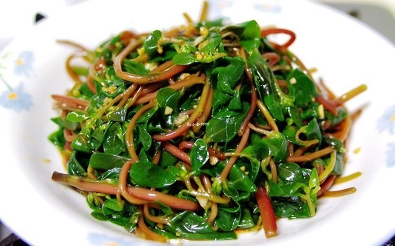 Loại cây mọc đầy vườn Việt không ai quan tâm, nhưng thế giới xem như "thần dược".