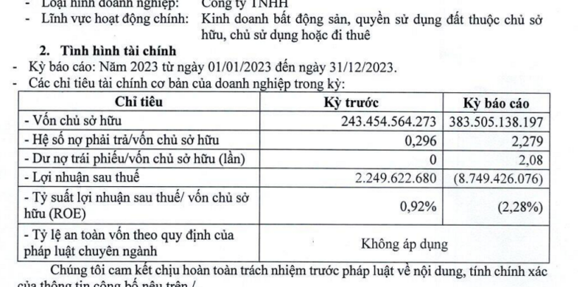 Các chỉ tiêu tài chính của Thuận Thành tại kỳ báo cáo (31/12/2023). Ảnh chụp màn hình.