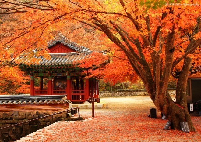 Thời điểm lý tưởng để du lịch Hàn Quốc trong năm.