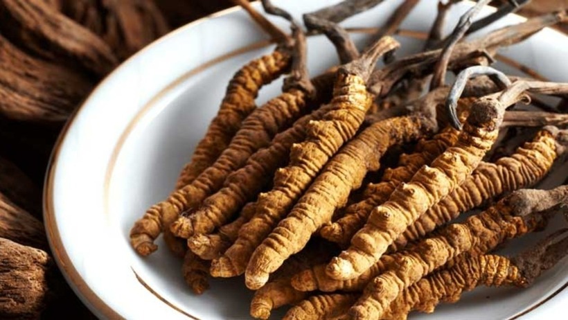 Đông trùng hạ thảo nổi tiếng với khả năng tăng cường sinh lực và cải thiện chức năng sinh lý nam giới, giúp tăng cường ham muốn và khả năng cương dương. Ảnh minh họa