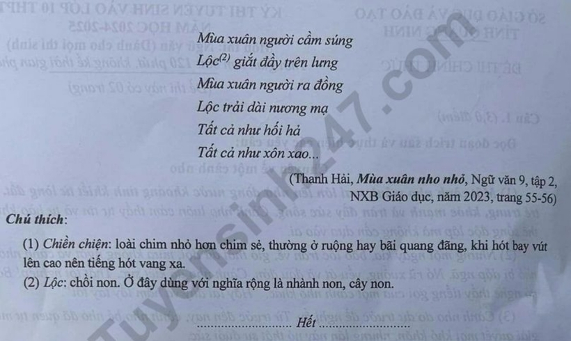 Đề thi môn Ngữ văn vào lớp 10 năm 2024 của tỉnh Quảng Ninh. Ảnh: Tuyensinh247/ Dân Việt