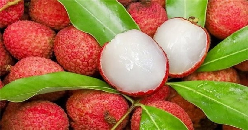 Vải thiều là loại trái cây được yêu thích vào mùa hè với vị ngọt thanh mát.