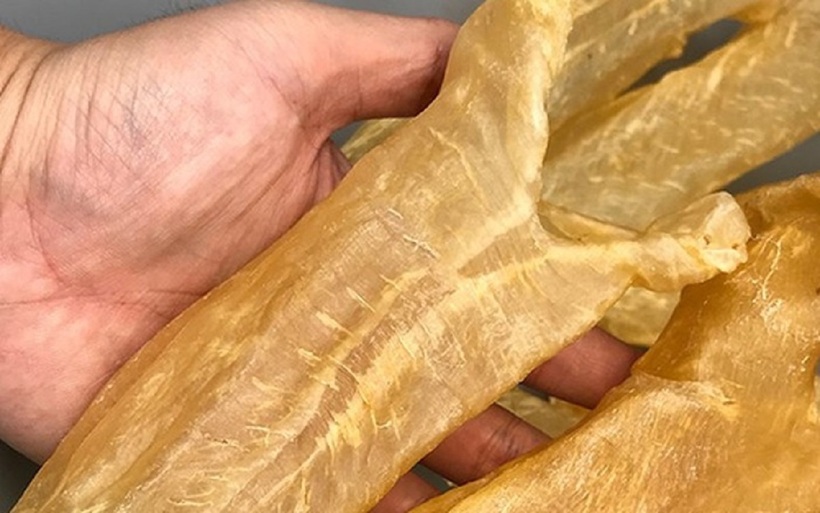 Bong bóng cá được xem là tinh túy dinh dưỡng của loài cá.