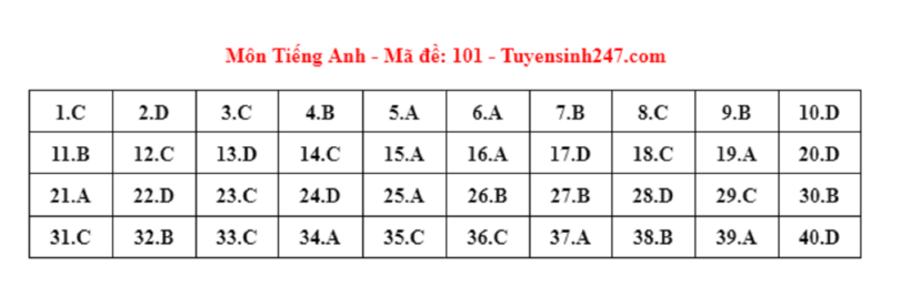 Đáp án gợi ý môn Tiếng Anh tuyển sinh lớp 10 ở Hà Nội năm 2024 mã đề 101