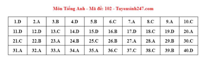 Đáp án gợi ý môn Tiếng Anh tuyển sinh lớp 10 ở Hà Nội năm 2024 mã đề 102.