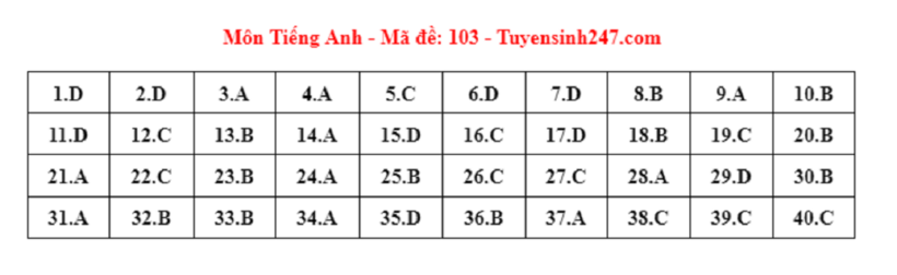 Đáp án gợi ý môn Tiếng Anh tuyển sinh lớp 10 ở Hà Nội năm 2024 mã đề 103