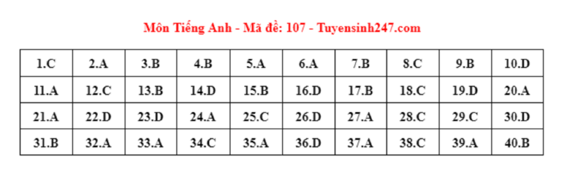 Đáp án gợi ý môn Tiếng Anh tuyển sinh lớp 10 ở Hà Nội năm 2024 mã đề 107.
