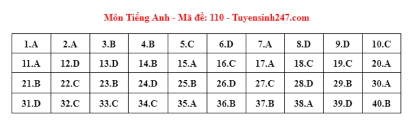 Đáp án gợi ý môn Tiếng Anh tuyển sinh lớp 10 ở Hà Nội năm 2024 mã đề 110