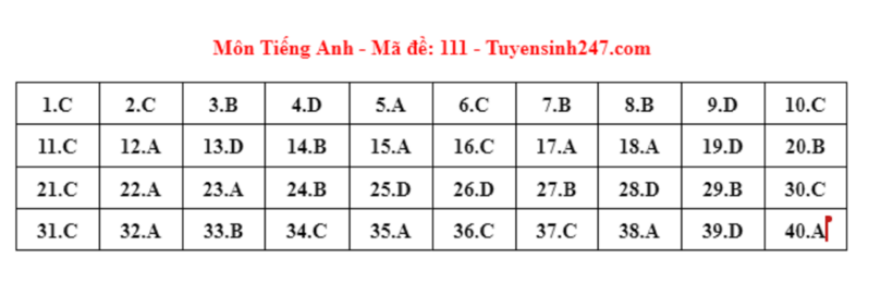 Đáp án gợi ý môn Tiếng Anh tuyển sinh lớp 10 ở Hà Nội năm 2024 mã đề 111