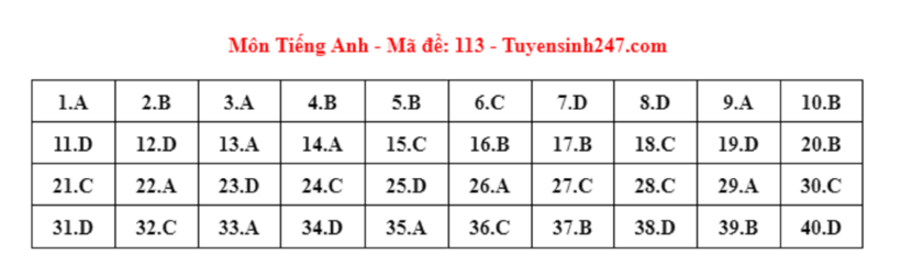 Đáp án gợi ý môn Tiếng Anh tuyển sinh lớp 10 ở Hà Nội năm 2024 mã đề 113