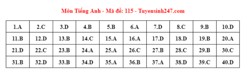 Đáp án gợi ý môn Tiếng Anh tuyển sinh lớp 10 ở Hà Nội năm 2024 mã đề 115