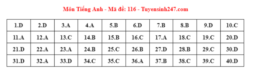 Đáp án gợi ý môn Tiếng Anh tuyển sinh lớp 10 ở Hà Nội năm 2024 mã đề 116