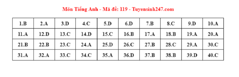 Đáp án gợi ý môn Tiếng Anh tuyển sinh lớp 10 ở Hà Nội năm 2024 mã đề 119