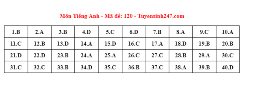 Đáp án gợi ý môn Tiếng Anh tuyển sinh lớp 10 ở Hà Nội năm 2024 mã đề 120