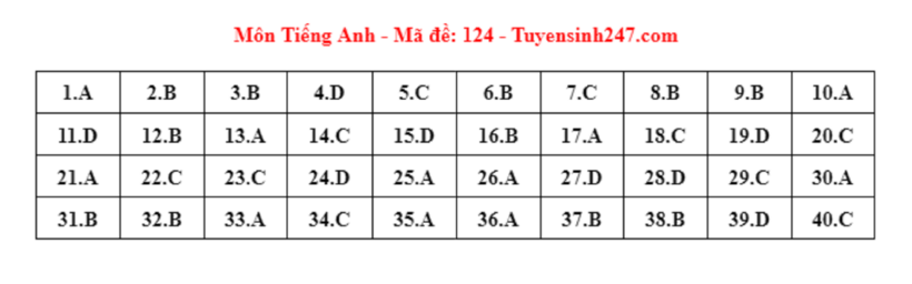 Đáp án gợi ý môn Tiếng Anh tuyển sinh lớp 10 ở Hà Nội năm 2024 mã đề 124