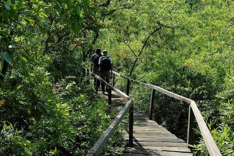 Trải nghiệm du lịch khám phá ở Nam Cát Tiên.