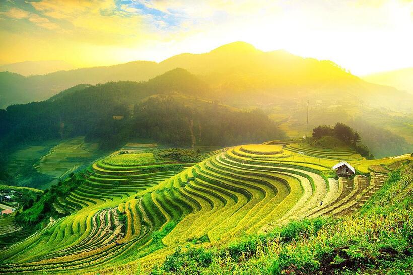 Mùa hè Tây bắc đẹp rực rỡ.