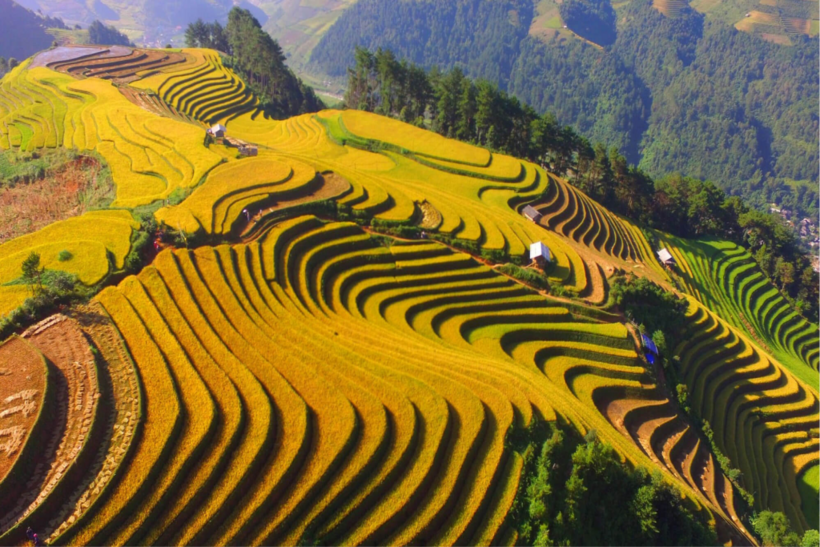 Mùa thu Tây Bắc đẹp nồng nàn.