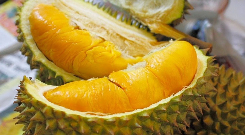 Sầu riêng giúp ngăn ngừa sự phát triển của bệnh loãng xương.