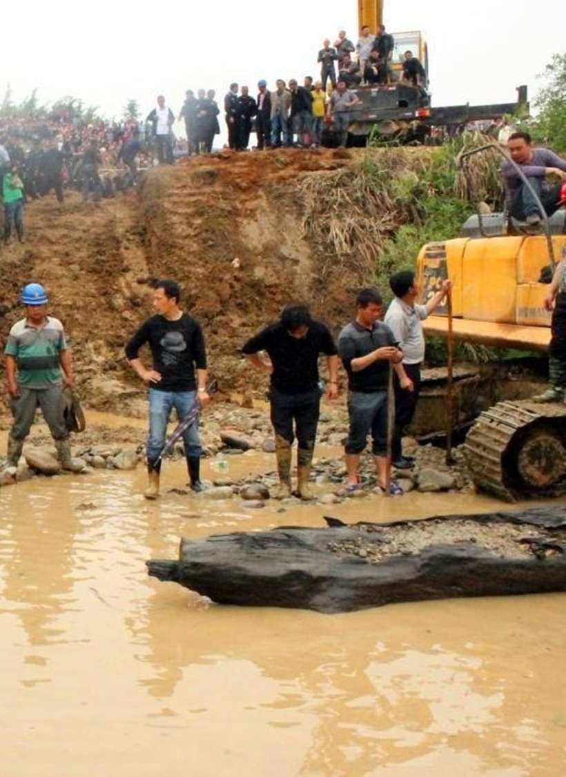 Xe cẩu và xe tải lớn cũng được cảnh sát điều động đến để “tham gia” trục vớt cây gỗ khổng lồ. Ảnh: Kknews.cc.
