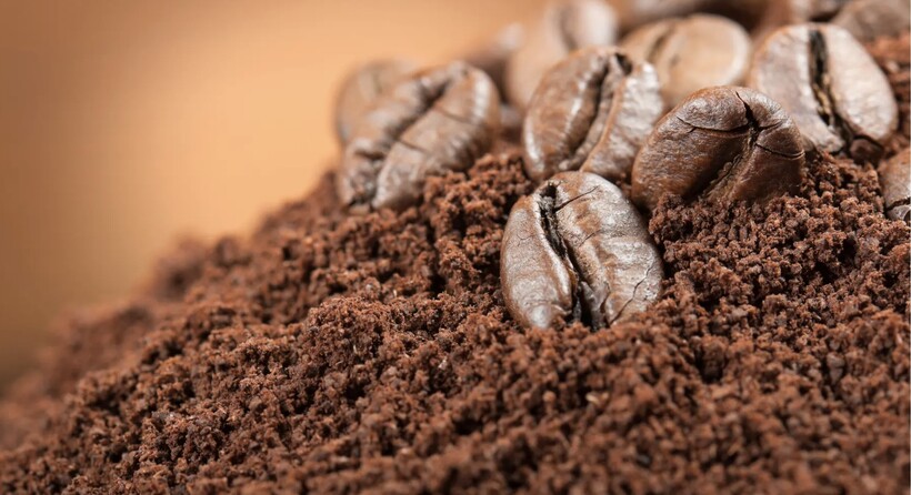 Bã cà phê rất thơm, có nhiều công dụng tuyệt vời.