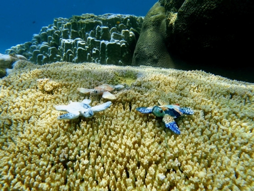 "Phiêu" là triển lãm đầu tiên ở Việt Nam "tập hợp" 1.001 rùa biển bằng gốm thủ công.