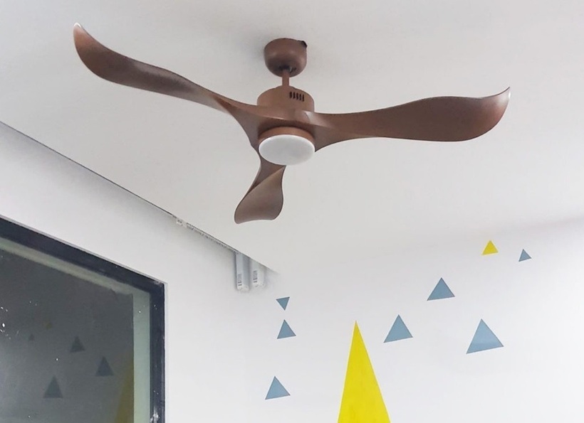 Nhiều người băn khoăn không biết nên chọn quạt trần hay quạt cây để tiết kiệm điện.