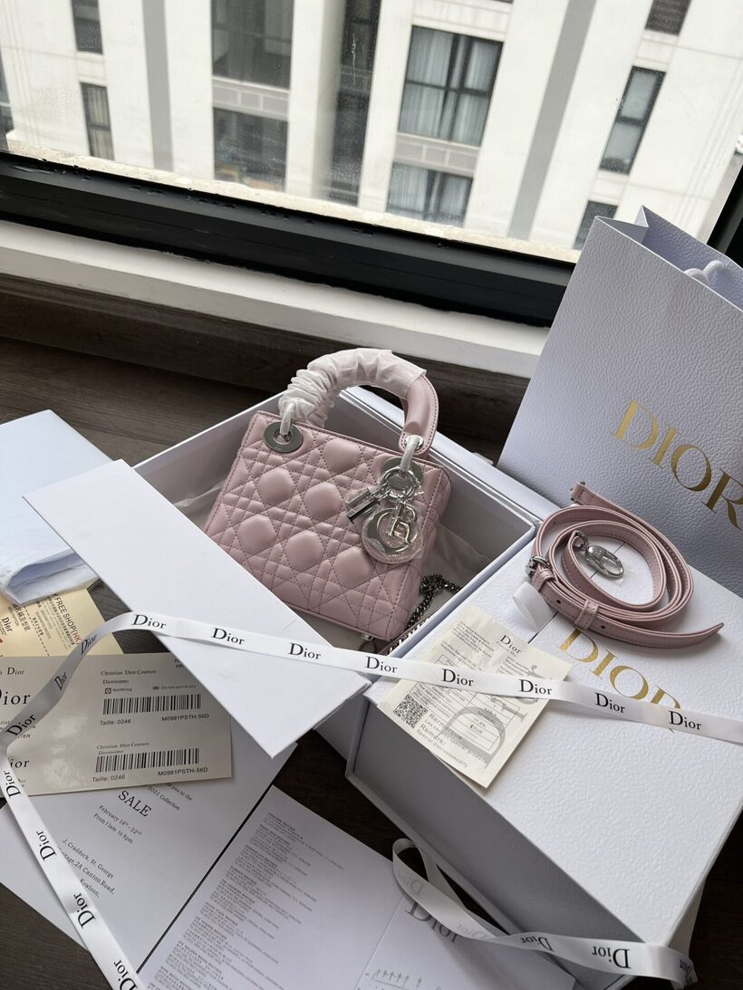 Những mẫu túi hiệu có giá trị siêu đắt đỏ của Dior - 1