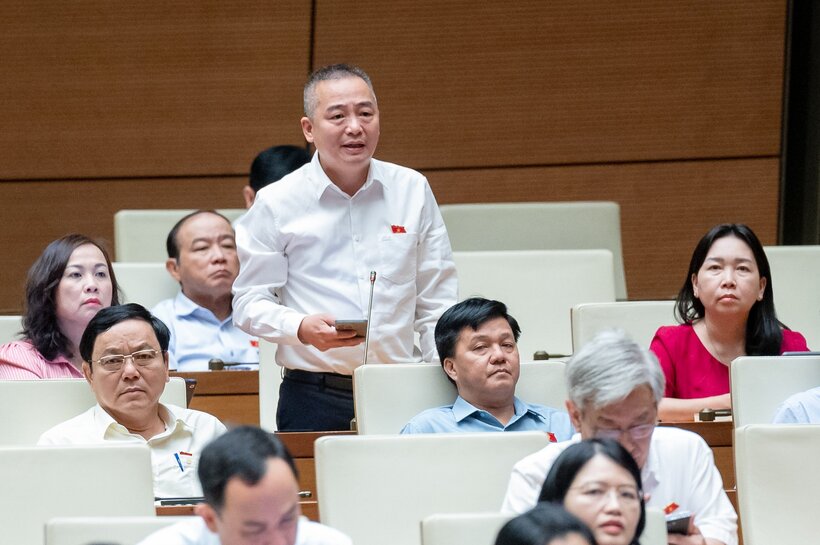 ĐBQH Nguyễn Lân Hiếu.