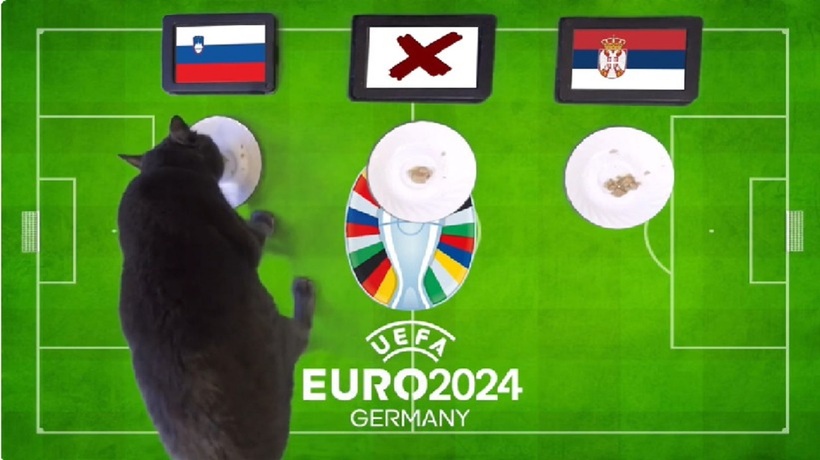 Chú mèo tiên tri Cass chọn đĩa thức ăn có lá cờ của Slovenia