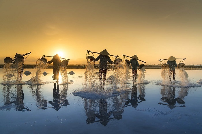 Cánh đồng muối Cà Ná.