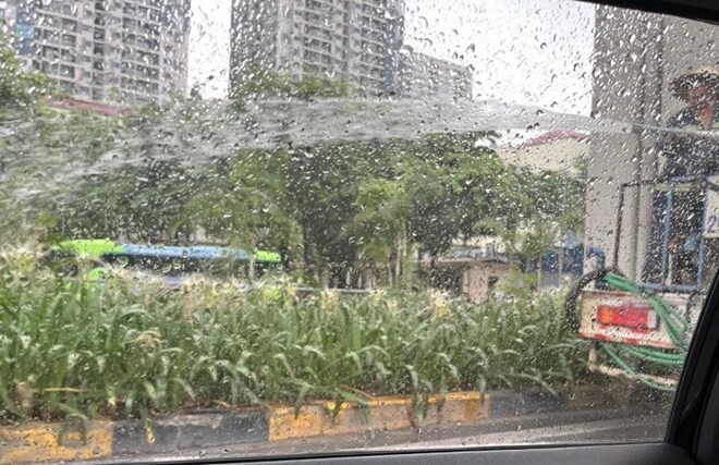Hình ảnh công nhân phun nước tưới cây giữa trời mưa to sáng 24/6. (Ảnh: Mạng xã hội)