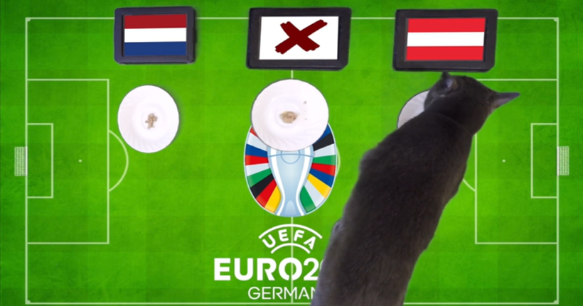 Chú mèo tiên tri chọn Áo sẽ là đội được hưởng niềm vui chiến thắng