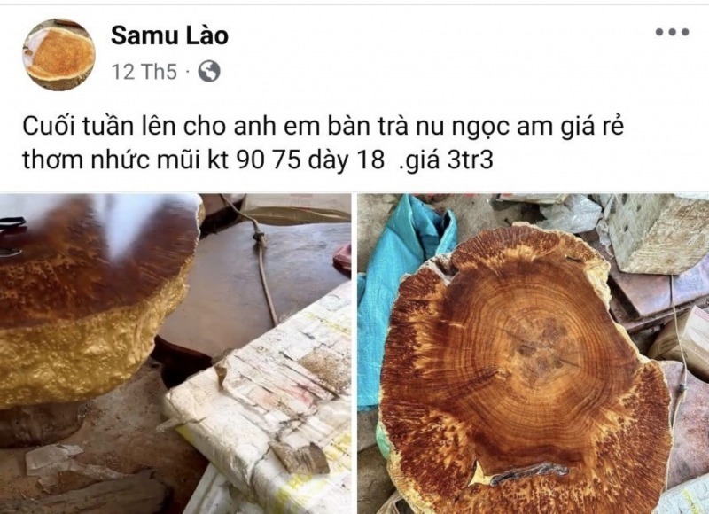 "Ông trùm điển trai" chuyên bán gỗ quý trên mạng xã hội. Ảnh: Công an Nhân dân