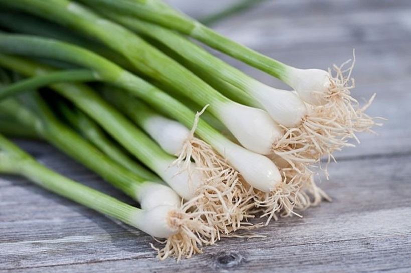 Khám phá công dụng chữa bệnh của hành tươi. Ảnh minh họa