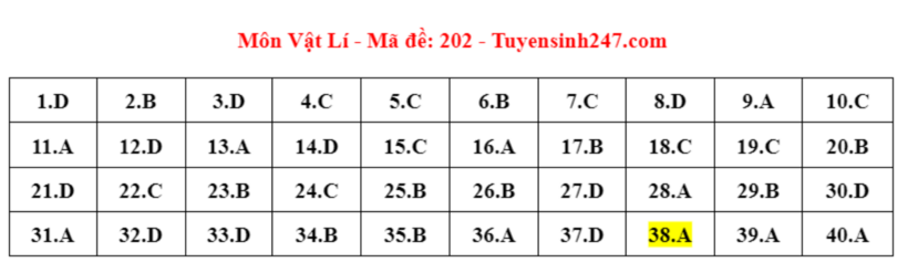 Đáp án đề thi môn Vật lý mã đề 202 tốt nghiệp THPT 2024 được cập nhật lúc 14h18 ngày 28/6.