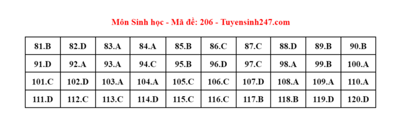 Đáp án gợi ý môn Sinh học mã đề 206 tốt nghiệp THPT 2024. Ảnh: Tuyensinh247.com